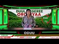 Oduu Waaree ONM ABO Caamsaa 31 2026 Itti Dhiyaadhaa 