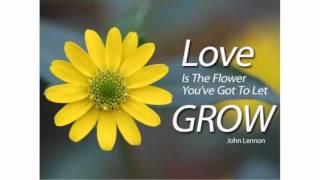 quotes flowers flower lovequotesmessages