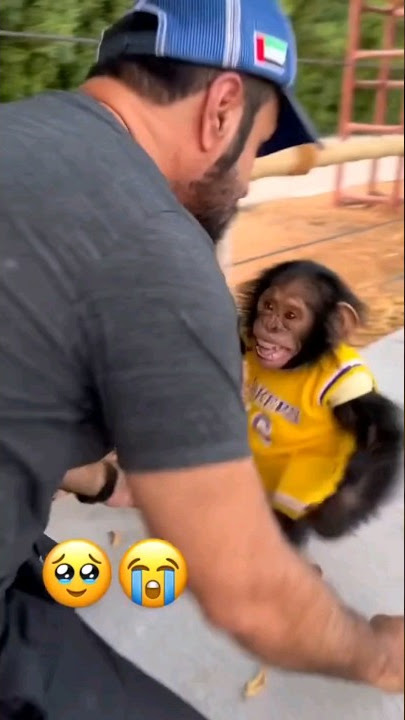Chimp Reunited With His Old Owner! 🥺