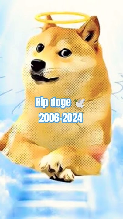you-made-us-happy-doge-you-will-be-remembered-forever-fly-high