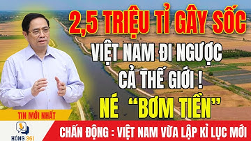 [PODCAST] Tin tức Việt Nam mới nhất ngày 22/11/2025/ Tin Nóng Chính Trị Việt Nam và Thế Giới Hôm Nay