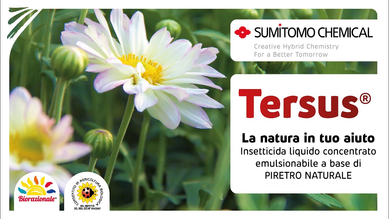 𝗧𝗲𝗿𝘀𝘂𝘀 - Piretro naturale - La natura in tuo aiuto 