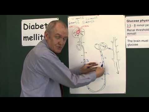 Vídeo: Glucosuria - Glossário De Termos Médicos