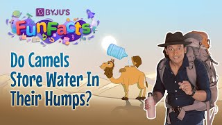 What's Inside A Camel's Hump? | BYJU'S Fun Facts