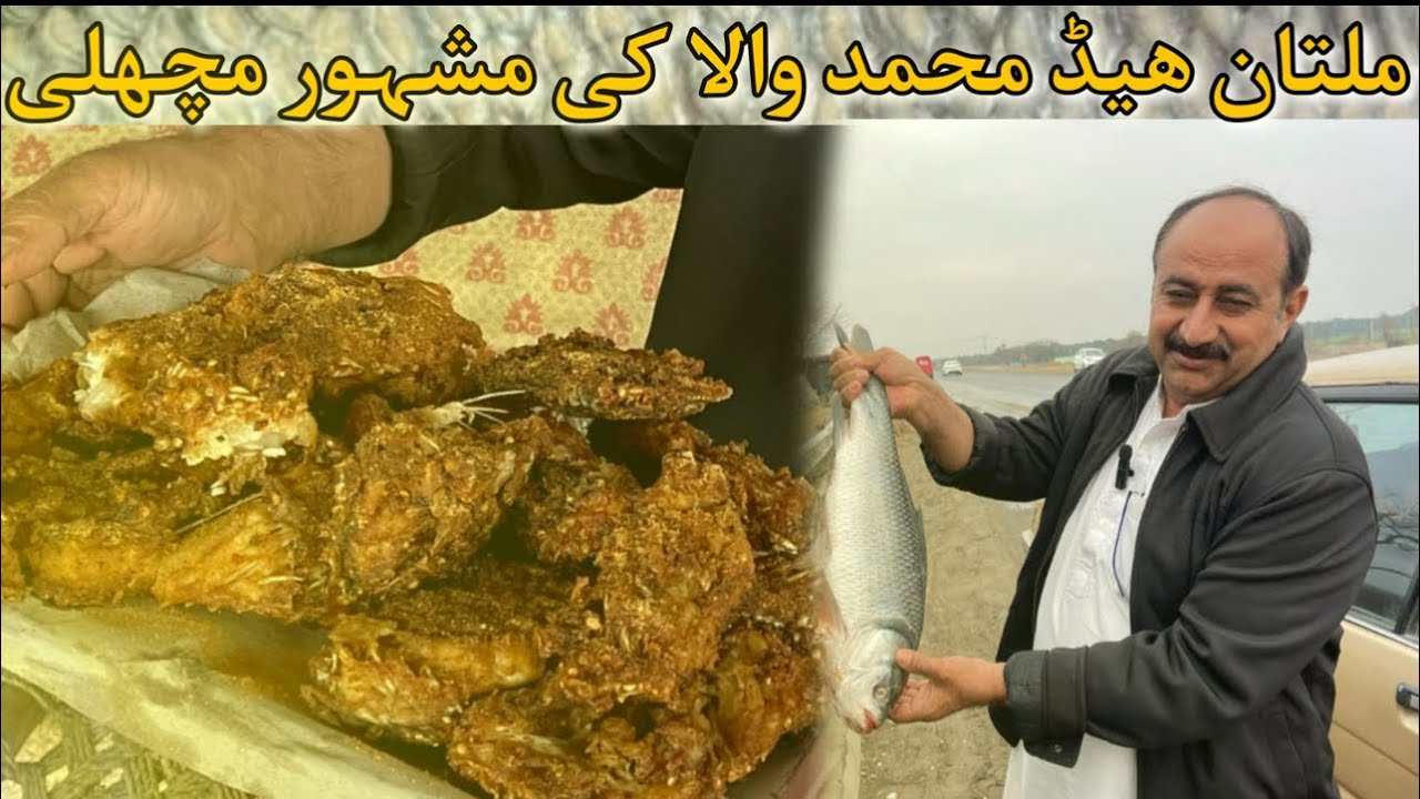 Multan Fish The famous fish of Multan Head Muhammad Wala || what is the rate ...
