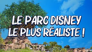 Je découvre  le parc Disney LE PLUS RÉALISTE !