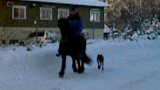 DSCN0026.AVI