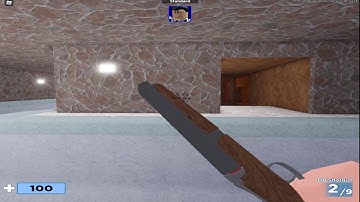 DB Shotgun Showcase, Inspect, Firing, Reload Animations