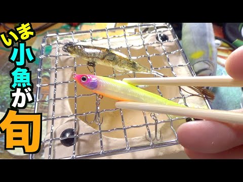 夏のバス釣り】最新の小魚ルアーが出来上がったので紹介します