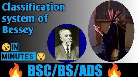 Bessey,s Classification System || Full detail