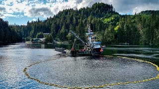 HUMPY HEAVEN! POV Salmon Seining: Kitoi CostRecovery (Part 3)