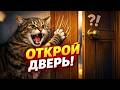 Почему кот не выносит закрытые двери и требует их открыть?