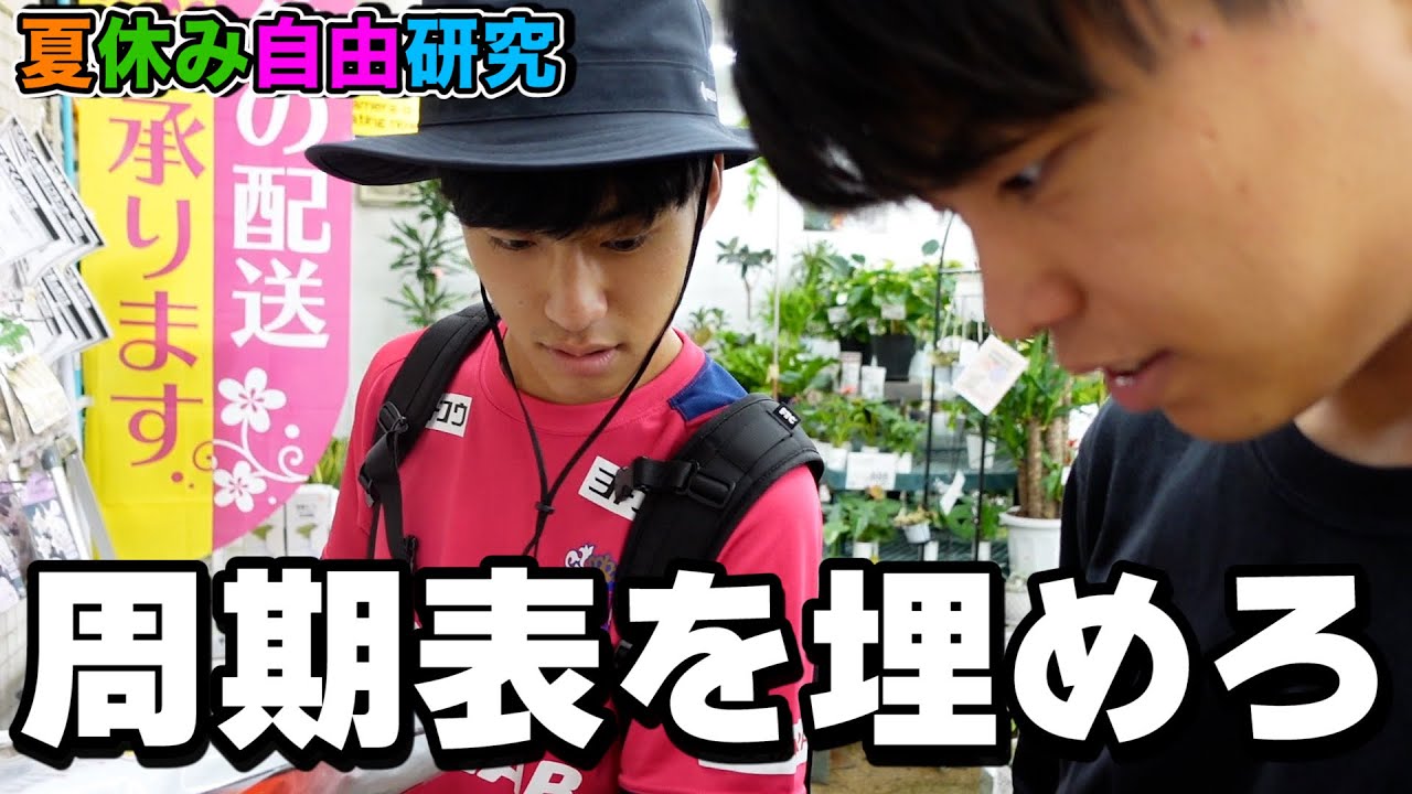 【自由研究】理系京大生が本気出したら一日で元素何個集まる！？