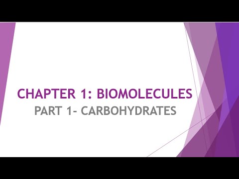 Microbiology Class - Carbohydrates
