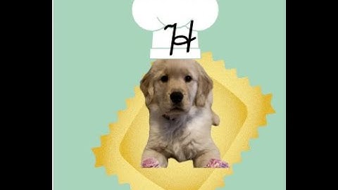 Lesson 3: Cookbook | Web Dev & Design | The Bit by Bit Coding Club Online