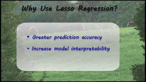 01 What is Lasso regression