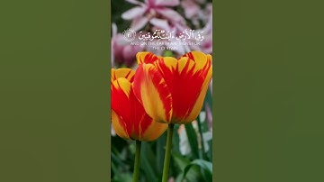 (وفي الأرض آيات للموقنين ) بصوت القارئ إسلام الصبحي