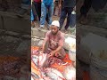 Surma Fish/ Roket Fish Cutting Live || ARS fish cutting by arshad