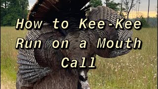 Turkey Hunting- How to do the Kee-Kee run on a Mouth Call