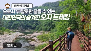 힐링이 필요한 이들에게 추천🏞️ | 당일치기여행 오지트레킹 코스 안내 ft.🚂백두대간 협곡열차(V-Train)
