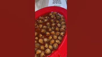 Thumbnail of Tau tempat seafood sepuasnya ini?😄😄