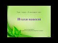 2 клас. Тема "Птахи навесні"