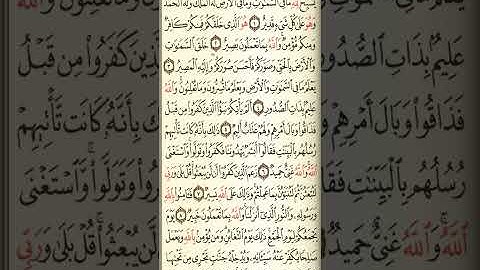 @آيات مباركة من سورة( التغابن) اخي الفاضل تفكر بها من الآية الكريمة (١-٩)