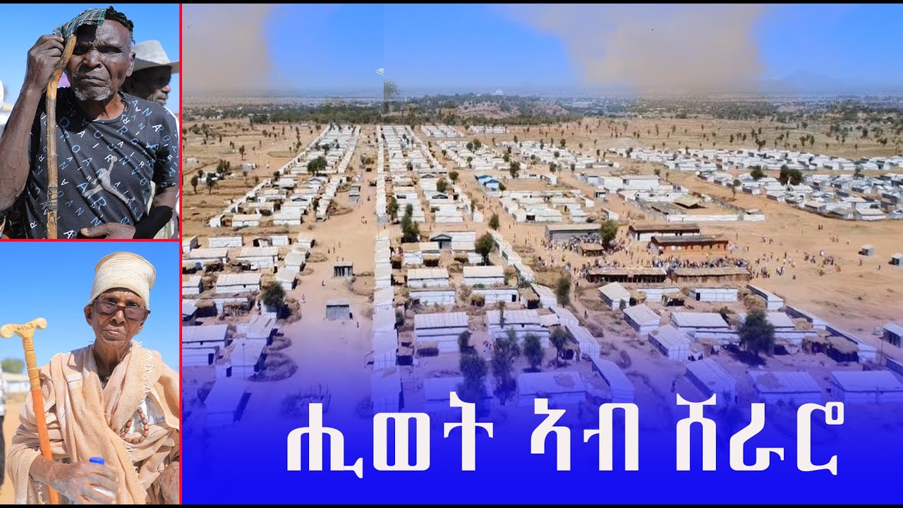 ሽራሮ ኣይቲኻ ዘይትዎፆ ቃላይ ኮይናትኒ ውዒላ  ትህዝቢ ኣብ ፀሓይ ረፍ ኢሉ ተስፋ ይገብር ዓዳሃገር ድማ ከትርፉ ላሕ ይብሉ መሕዘኒ ጫፋ ክልተ