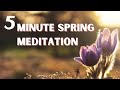 5 Minute Spring Equinox Meditation