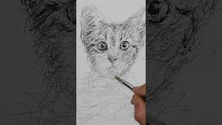 How to Draw a Kitten Like a BOSS!