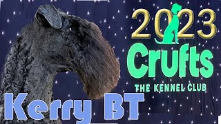 Crufts 2023 Kerry Blue Terrier