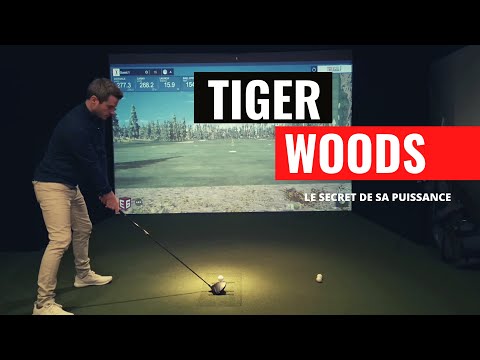 Qu’Est-Ce Que Les Gains De Carrière De Tiger Woods