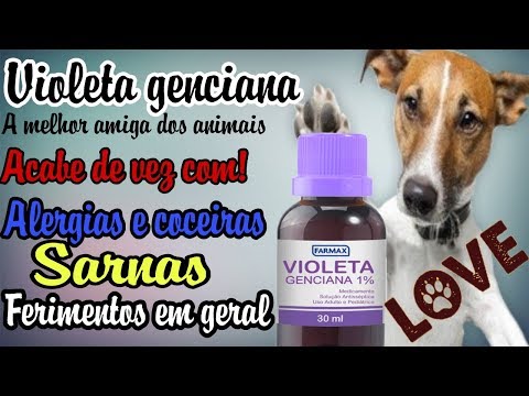 Video: Alivio de alergia Rottweiler