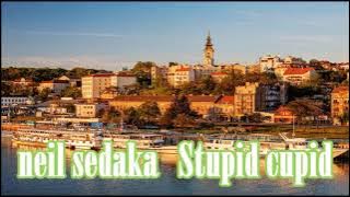 Neil Sedaka      Stupid cupid          lyrics