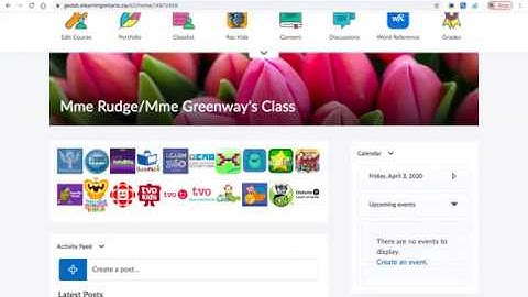 Creating your own widget in Brightspace GEDSB