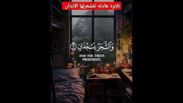 سورة الرحمن #بصوت القارئ بلال دربالي صوت ينسيك الدنيا #اكسبلور #القران_الكريم
