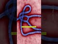 Charité-Experte zum Zustand des Ebolapatienten in Berlin