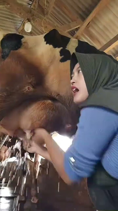 peras susu sapi #videoshort
