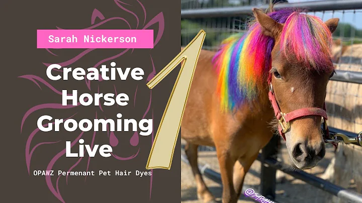 Creative Horse Grooming Live By Sarah Nickerson Wi...