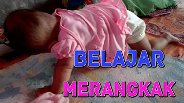 Bayi Umur 6 Bulan Belajar Merangkak