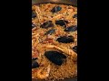 #shorts  🥘PAELLA FESTIVAL 2022 🥘 d&#39;Arròs Montsià