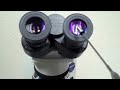 Mastering Microscope Mechanics and Functions in Microbiology
