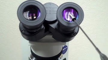 Olympus CX31 Microscope Parts and Function