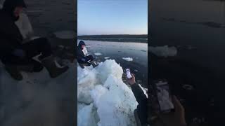 Man Falls Into Icy Water After Slipping Off Iceberg