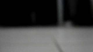 PASITO FLOGGER 2! /qeebeestiiam mi flog jej