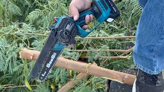 SEESII 2-in-1 battery Electric Pole Saw for Tree Trimming | Pruning a tree with an pole saw