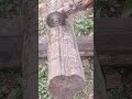 Shaping and Storing Wooden Pillars for Our Dream Cabin Project