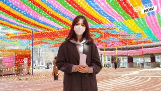 [VLOG #10] S. Korean Buddhists decide to postpone Buddha's birthday celebration amid COVID-19 fight
