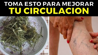 La Hierba Para Eliminar La Mala Circulación Y Várices En Piernas