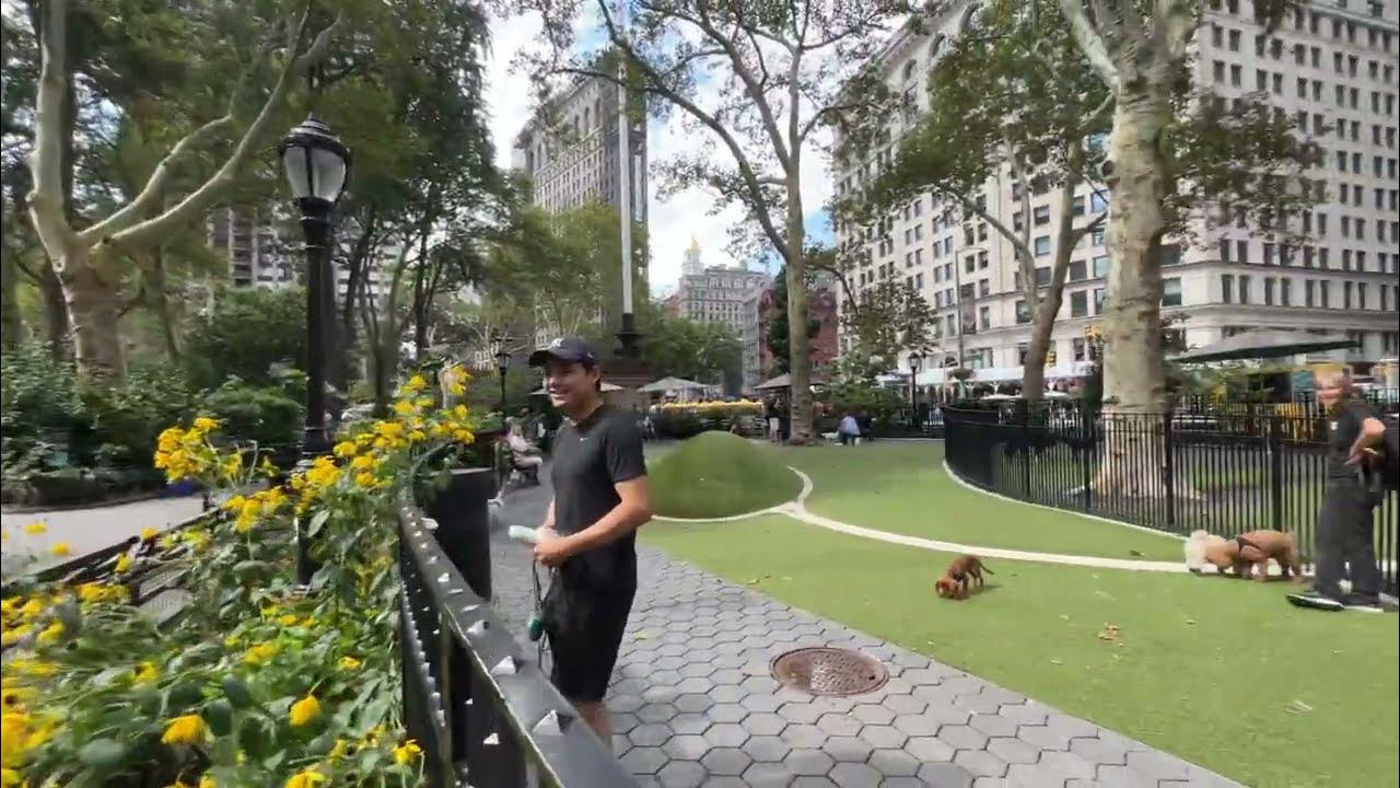 Madison Square Park Jimmy’s Dog Run Supporters YouTube